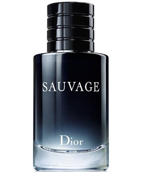 dior eau de toilette man
